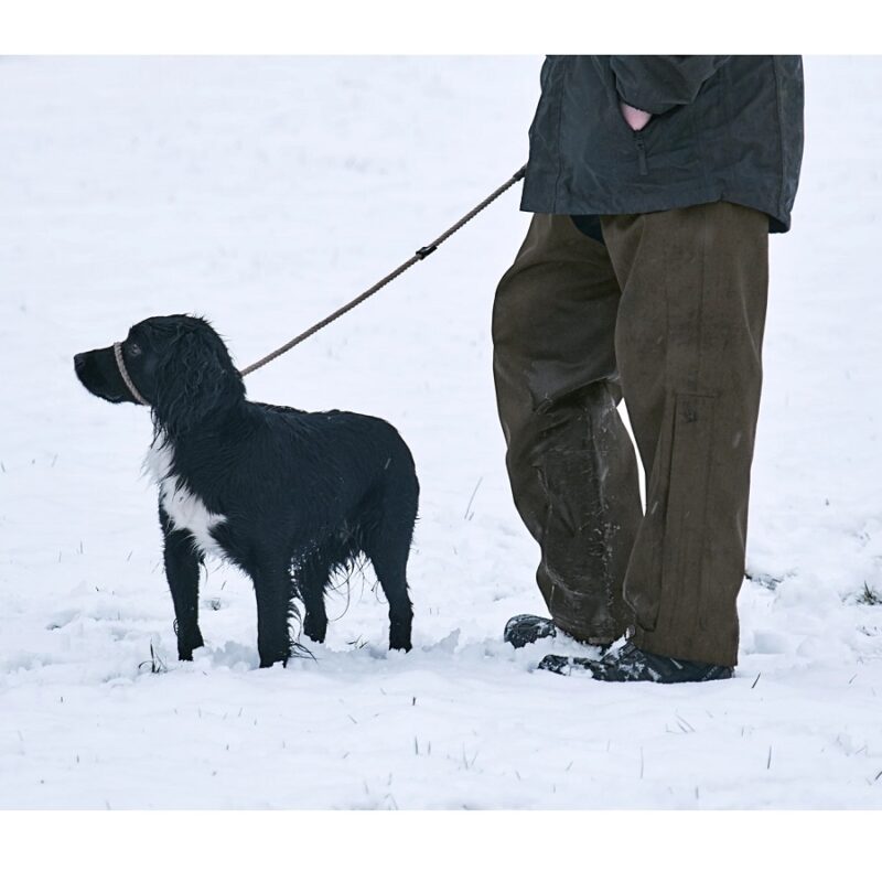 Seeland Buckthorn Overtrousers with dog in snow